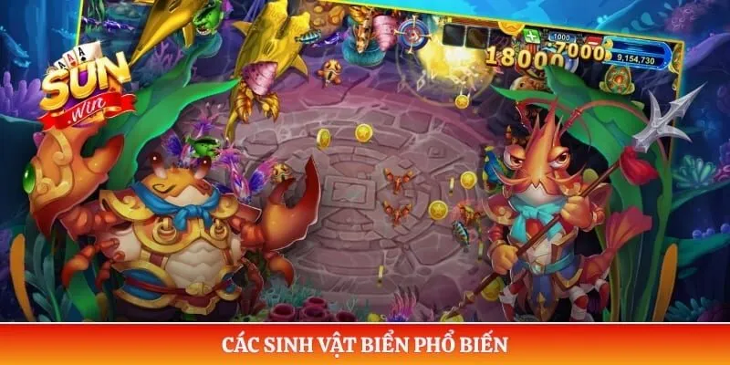 Các sinh vật biển phổ biến